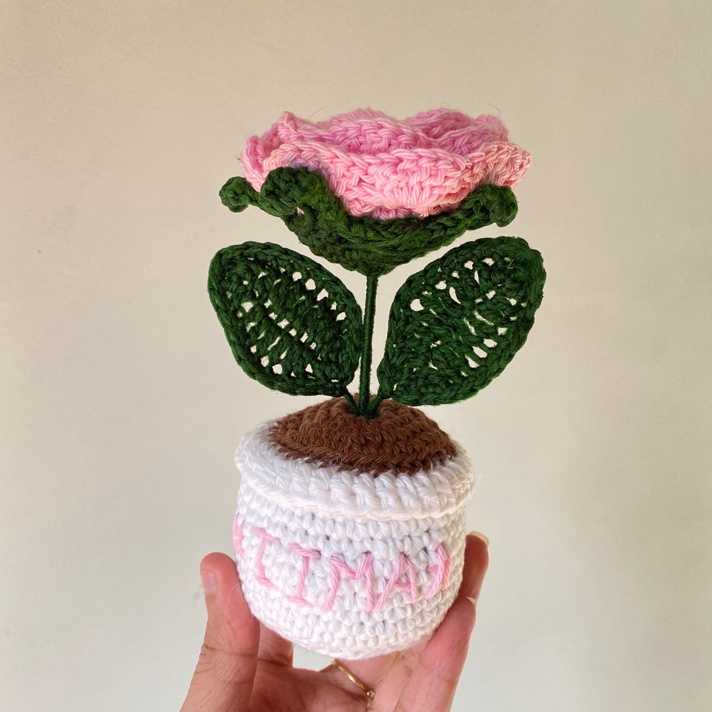Pink Rose in White Pot