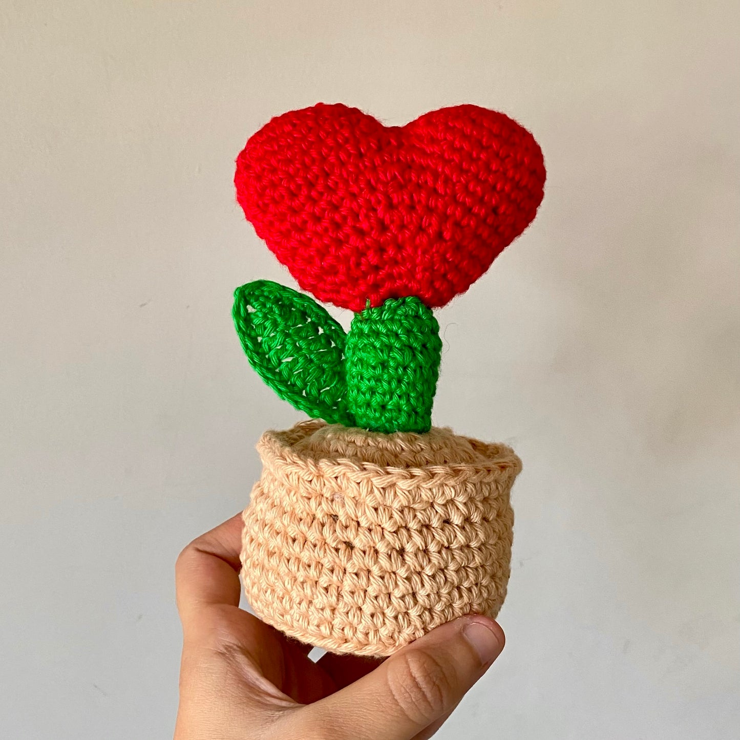 Cactus Heart Pot