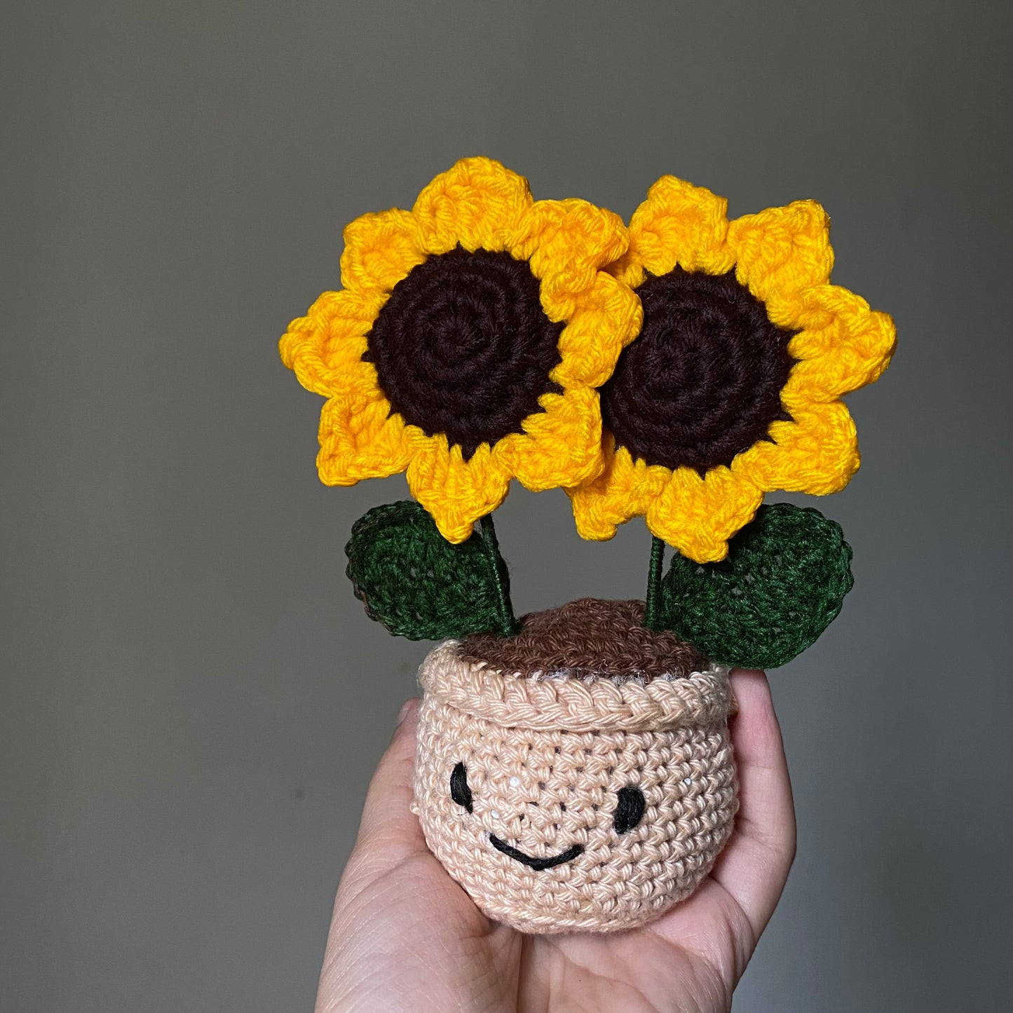 Twin-Sunflower Pot