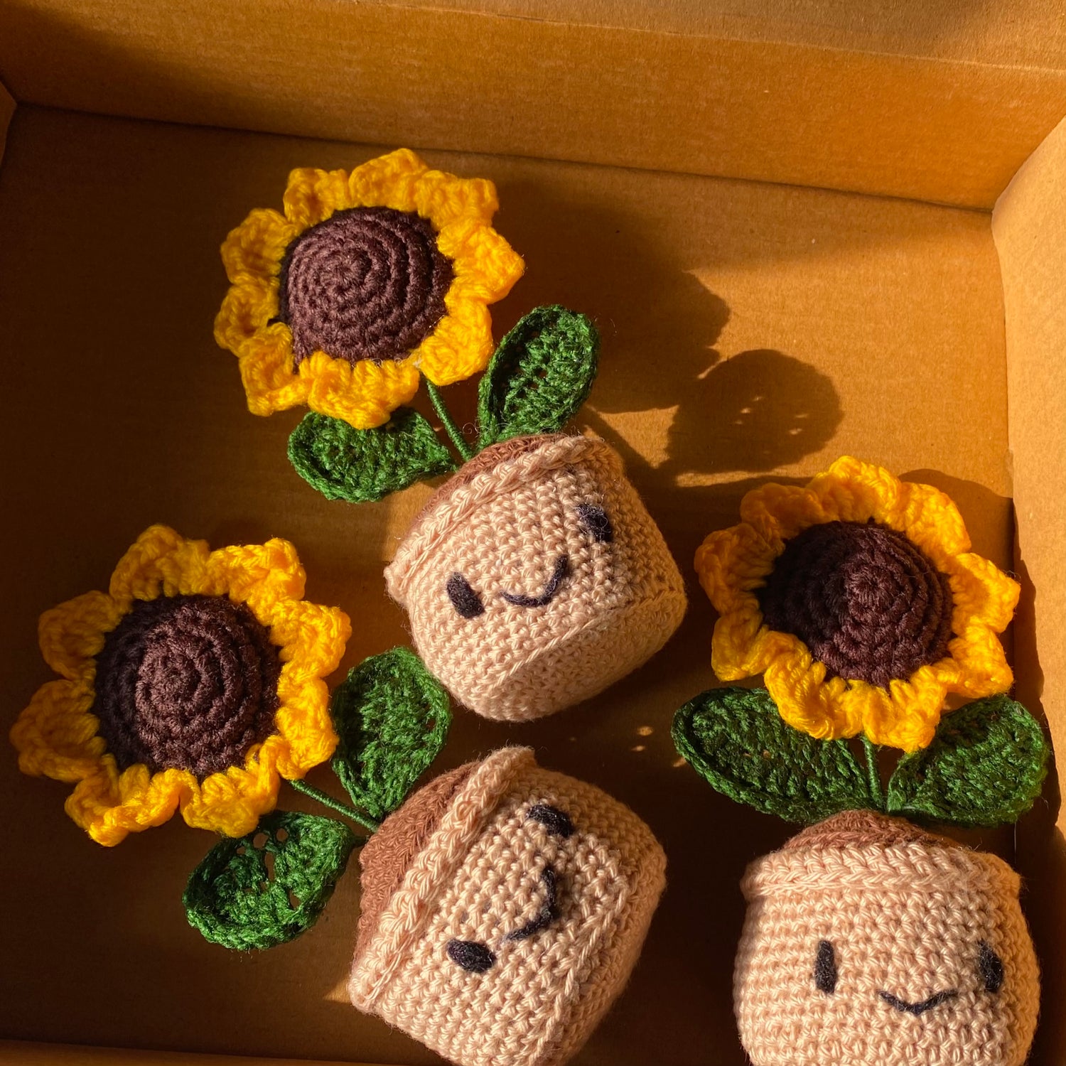 Flower Pots