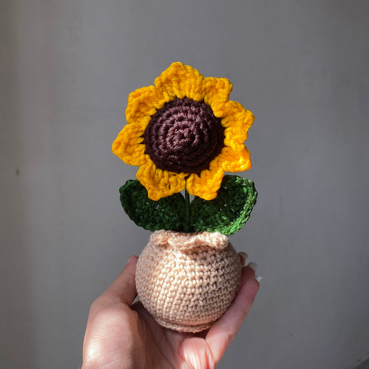 Matka - Single Sunflower Pot