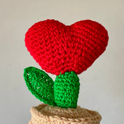 Cactus Heart Pot