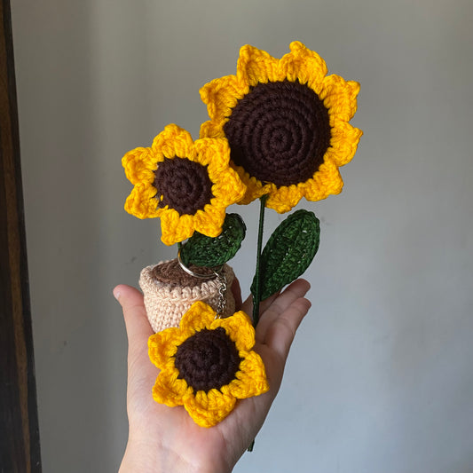 3-in-1 Sunflower Set