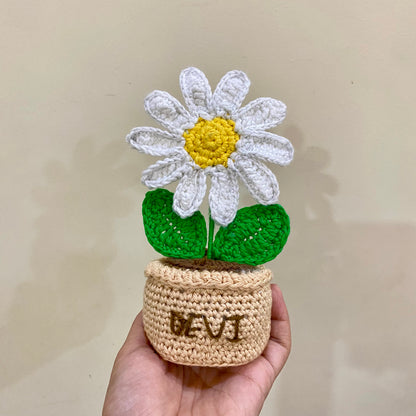Daisy Flowerpot