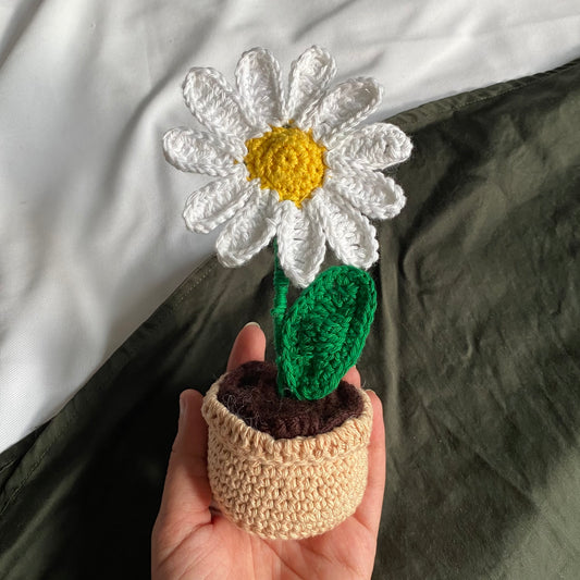 Daisy Flowerpot