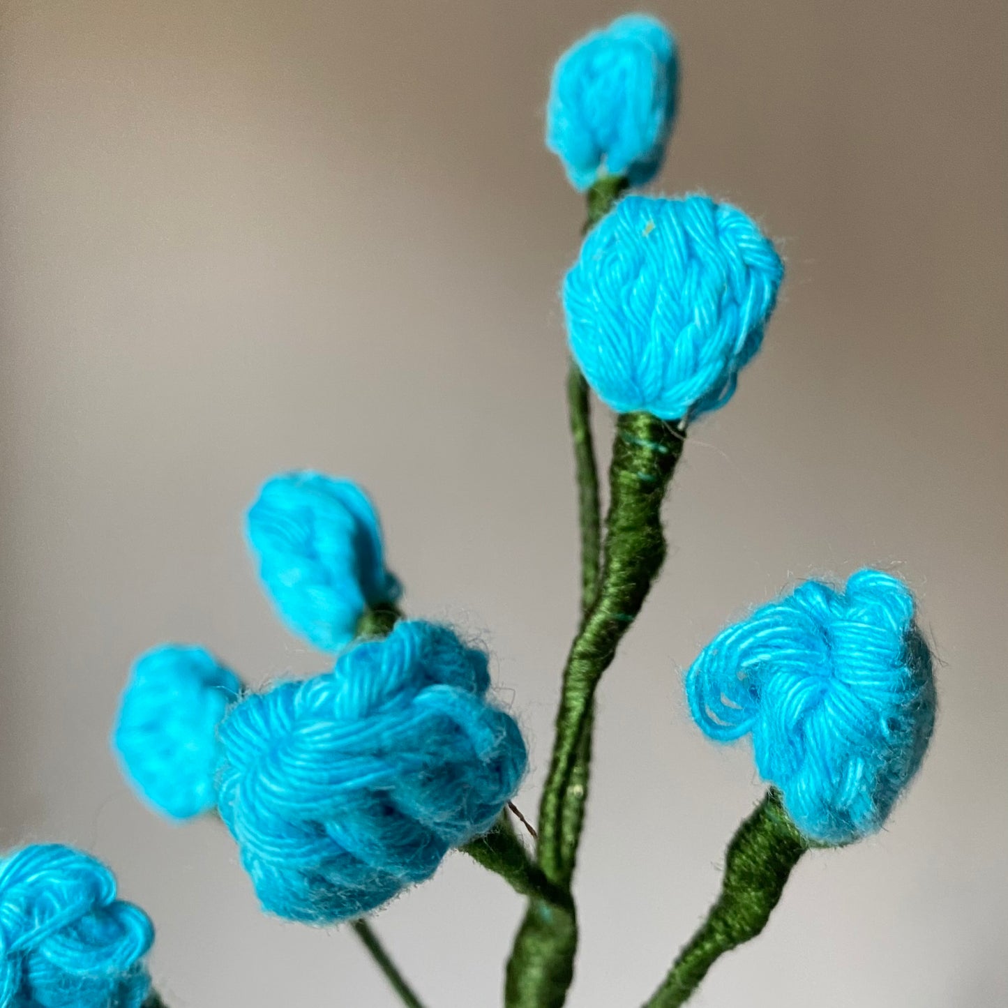 Ocean Petals
