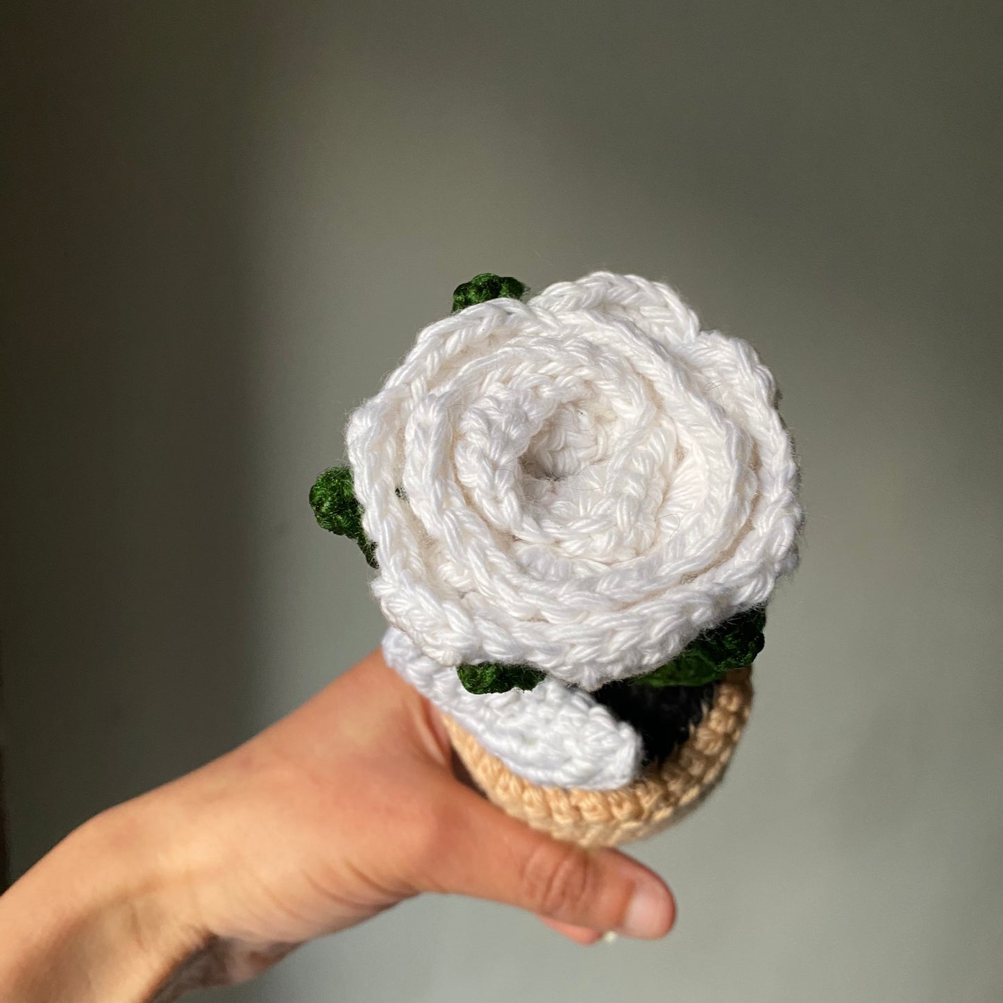 Crochet Rose Flowerpot