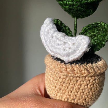 Crochet Rose Flowerpot