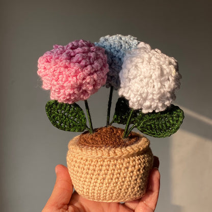 Dandelions Flowerpot