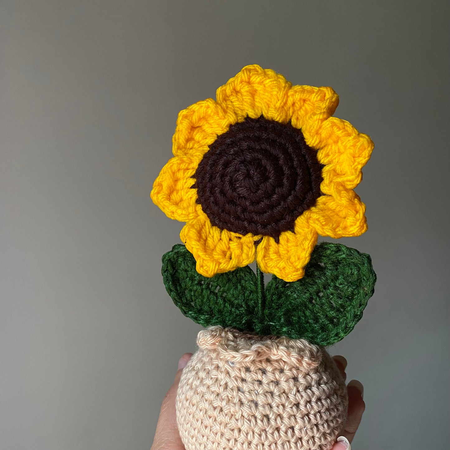 Matka - Single Sunflower Pot