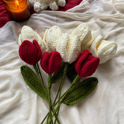 Red Velvet Tulips