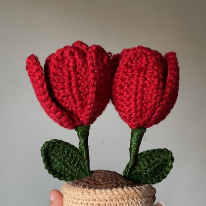 Twin Tulip Pot - Open