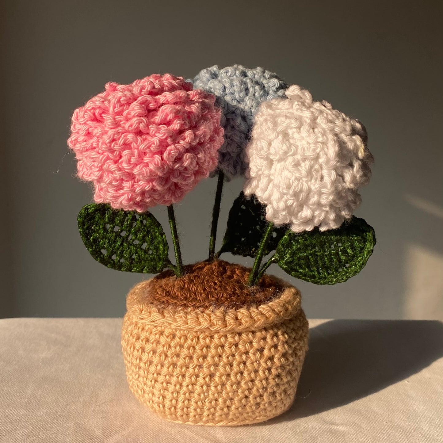Dandelions Flowerpot