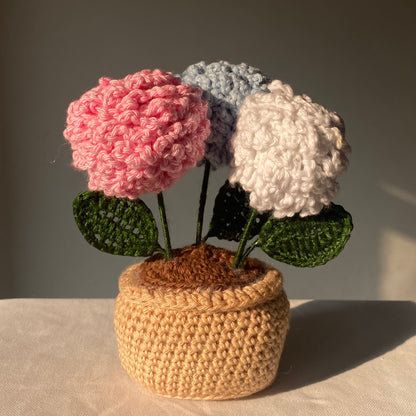 Dandelions Flowerpot