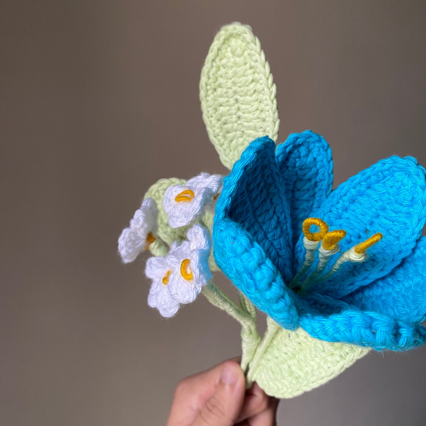 Pastel Petals: tulip_daisy