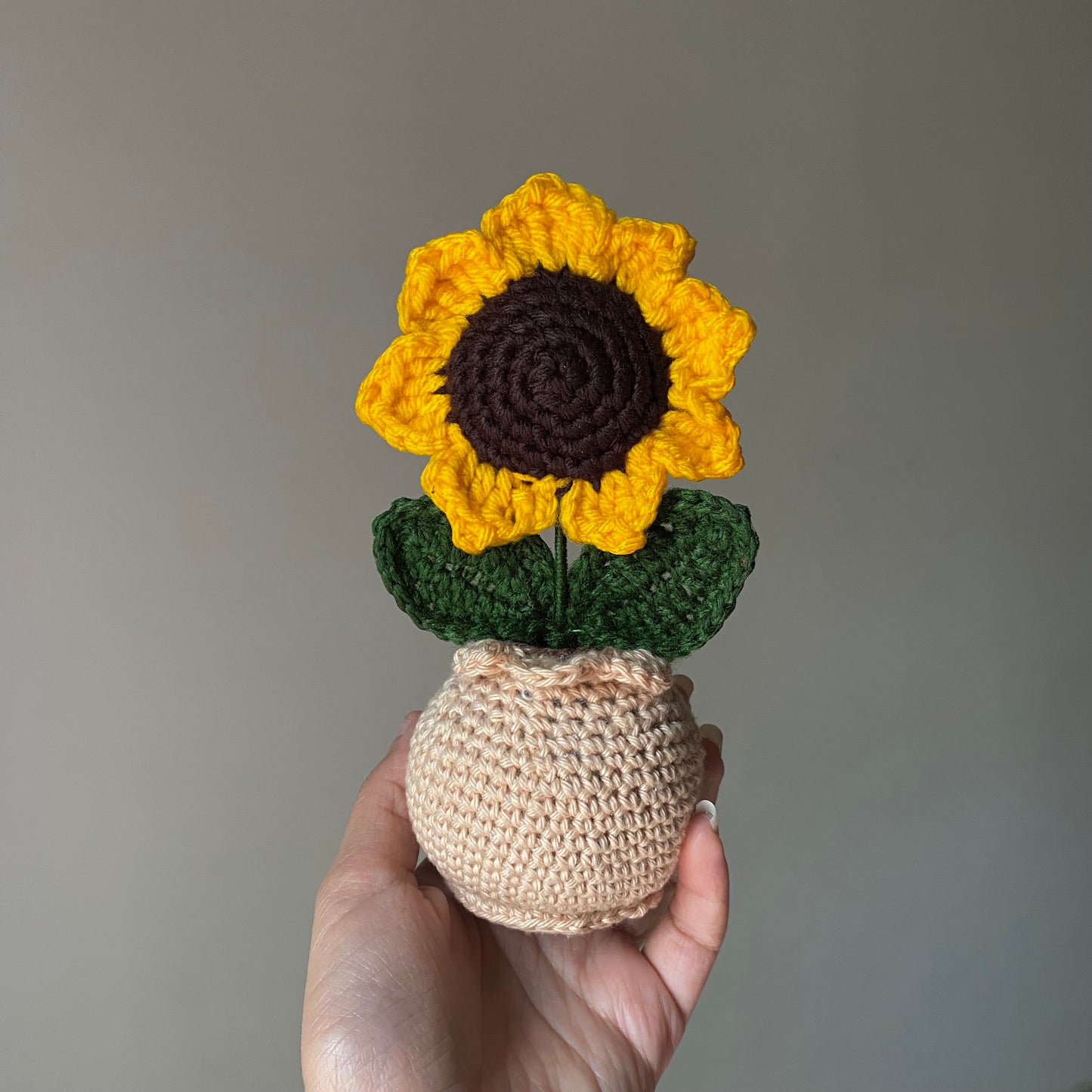 Matka - Single Sunflower Pot
