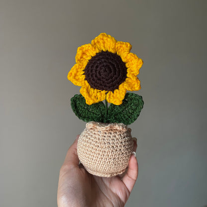 Matka - Single Sunflower Pot