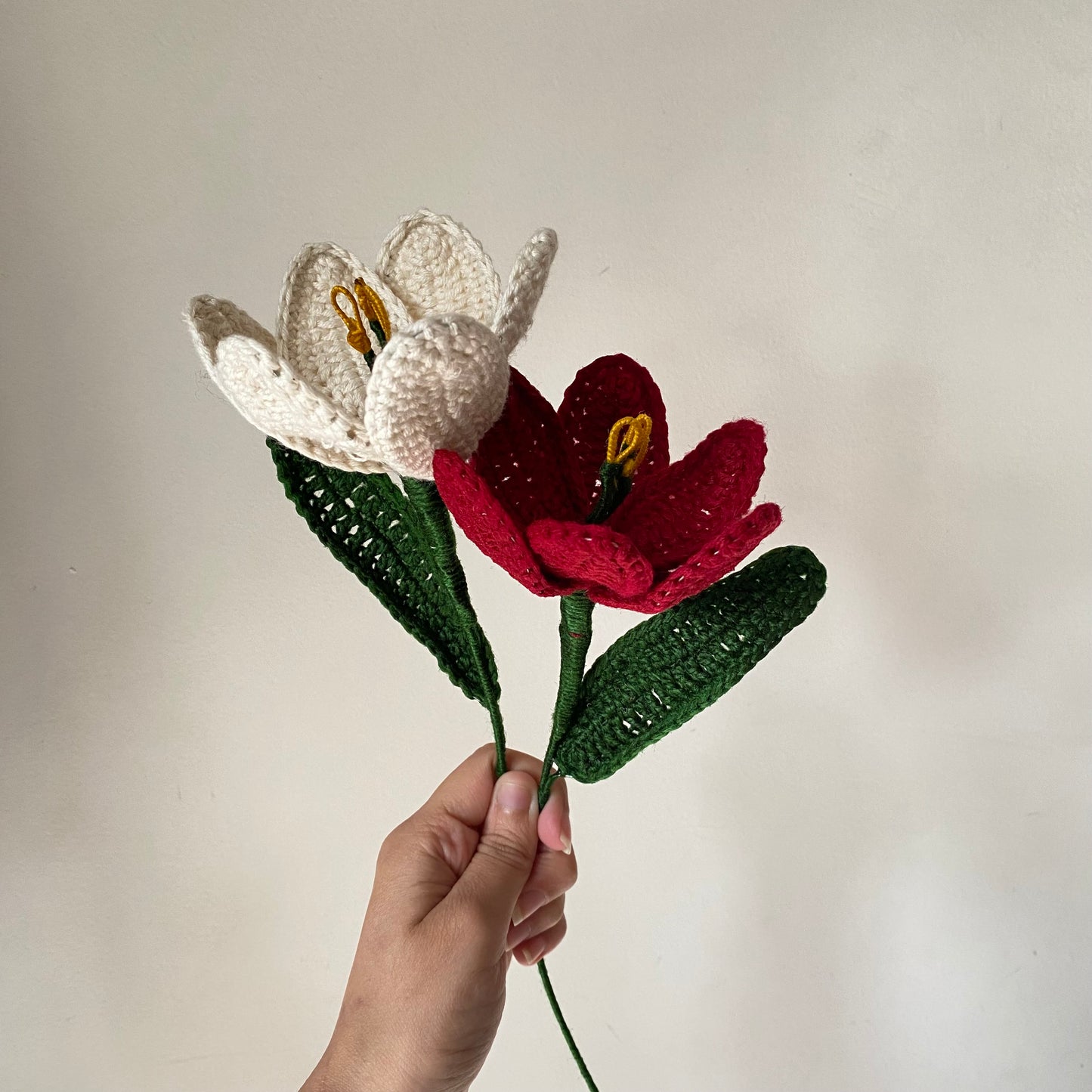 Red Velvet Tulips