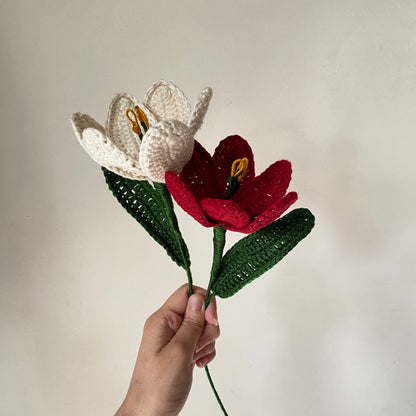 Red Velvet Tulips