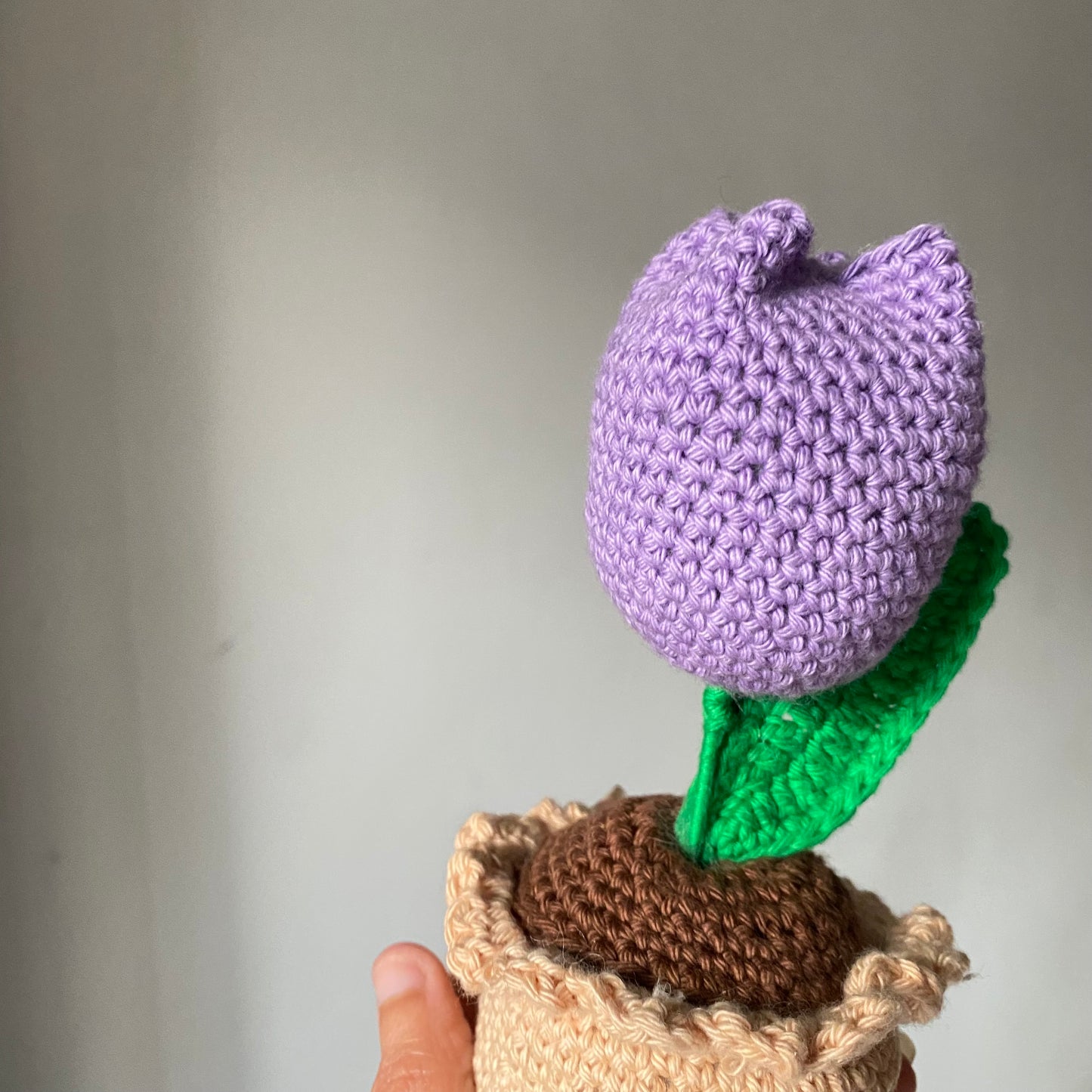 Purple Tulip Pot