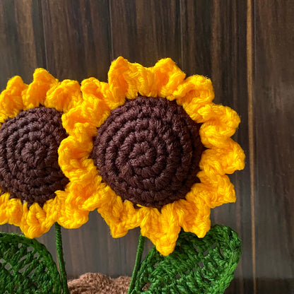 Twin-Sunflower Pot