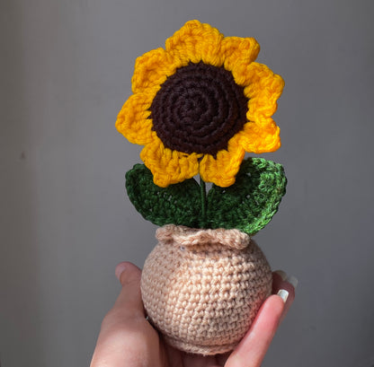 Matka - Single Sunflower Pot