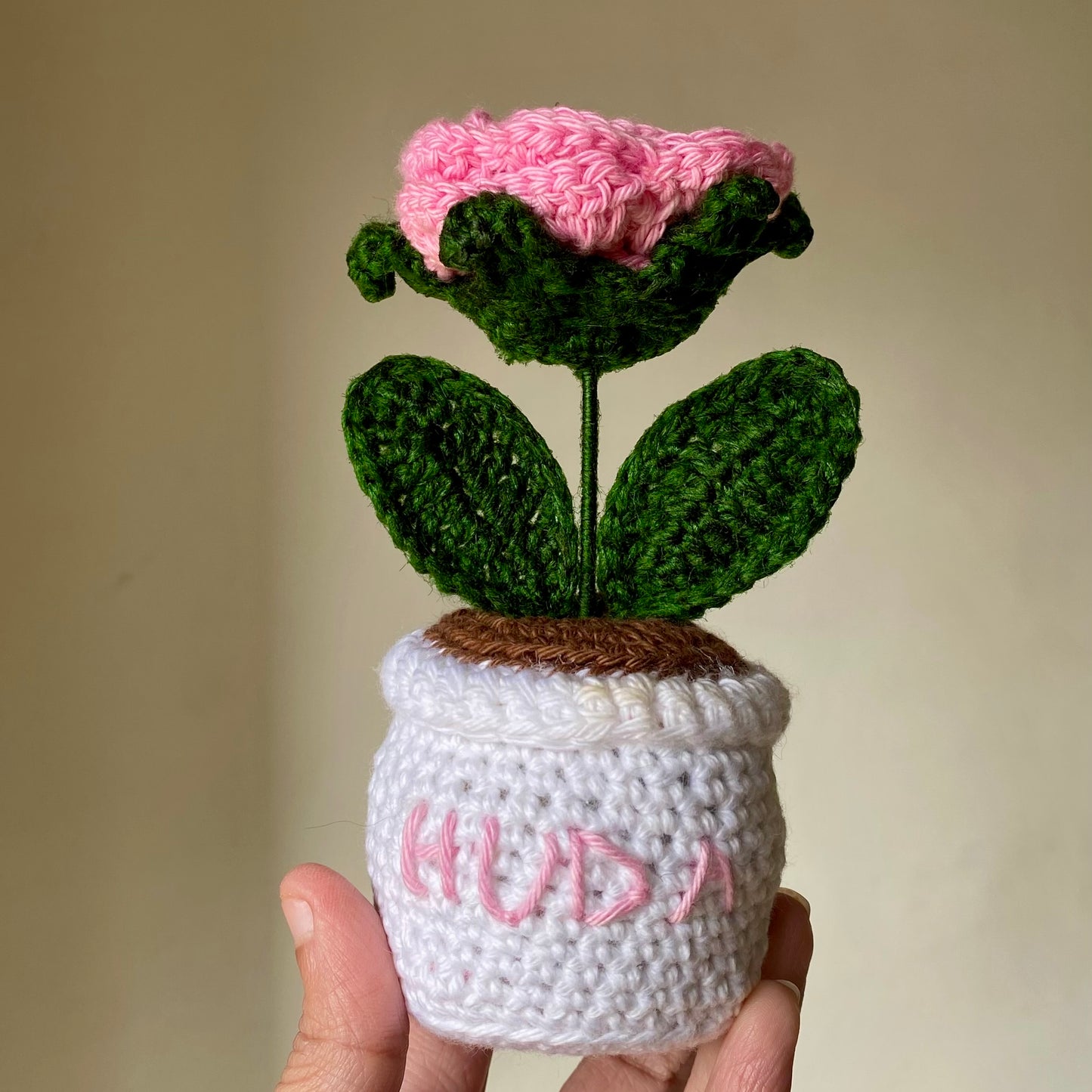 Pink Rose in White Pot
