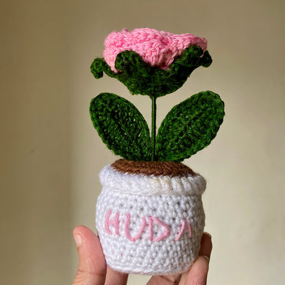 Pink Rose in White Pot