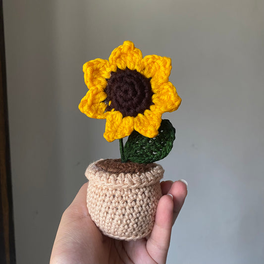3-in-1 Sunflower Set